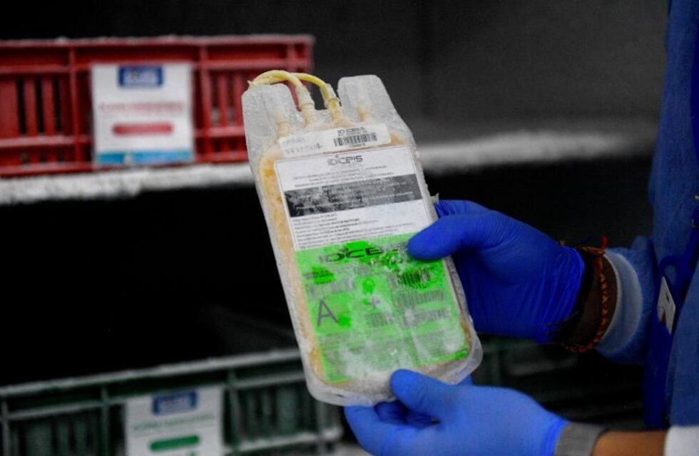 Distinguen los trabajos del HRRG en relación a la donación de plasma