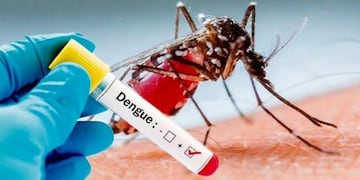 Se incrementan los casos de dengue en La Rioja y la cifra de infectados llega a 1686