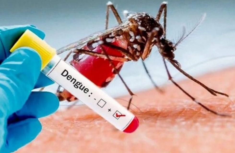 Se incrementan los casos de dengue en La Rioja y la cifra de infectados llega a 1686