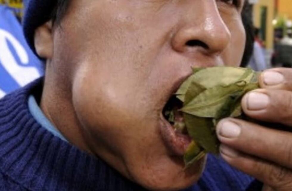 El precio de la hoja de coca por las nubes