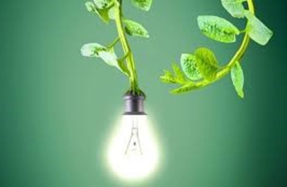 Estudiantes presentan "Plantalámpara" en Feria Nacional de Ciencias