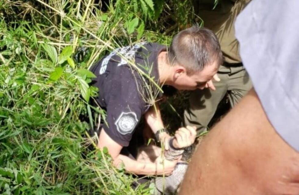 Inconsciente y deshidratado, encontraron al anciano obereño que estaba desaparecido