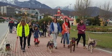 Caninata Solidaria - Ushuaia