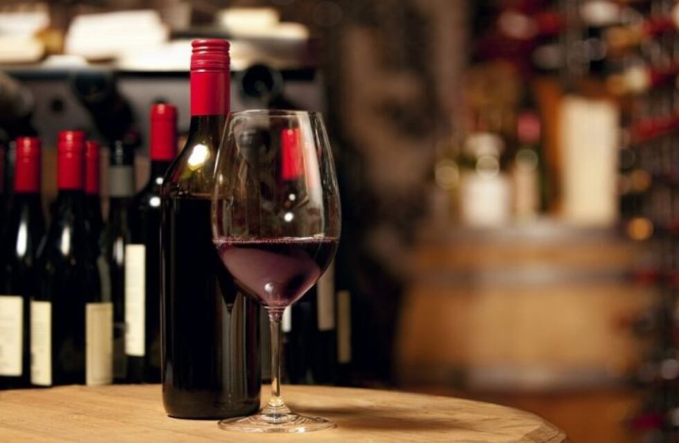 Promocionan vinos pampeanos con una degustación en General Pico