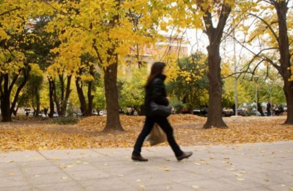 Clima en Mendoza: cómo estará el tiempo esta semana