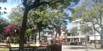 Foto: Mariana Herrera\u002E