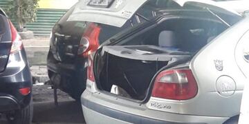 Sasha despertó en el baúl de un auto (Web)