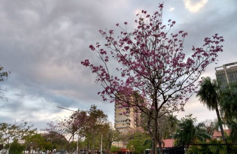 Domingo nublado en Azul