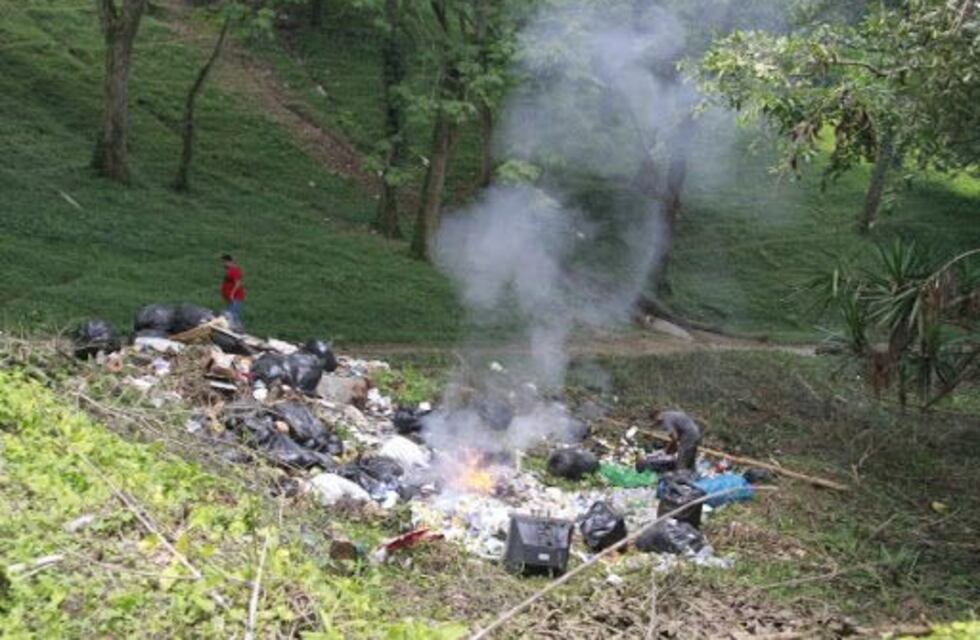 Saneamiento Ambiental y Control de Vectores tiene un WhatsApp para denuncias
