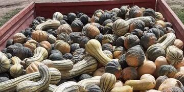 Foto de Facebook\u002E