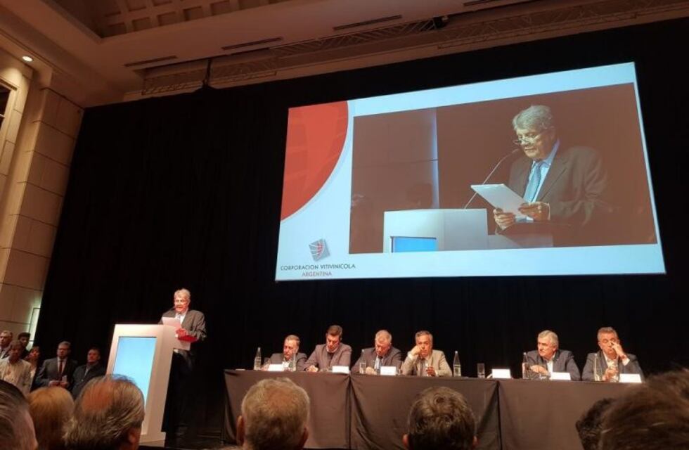 Ángel Leotta: "Es inaguantable la carga impositiva que sufre la vitivinicultura"