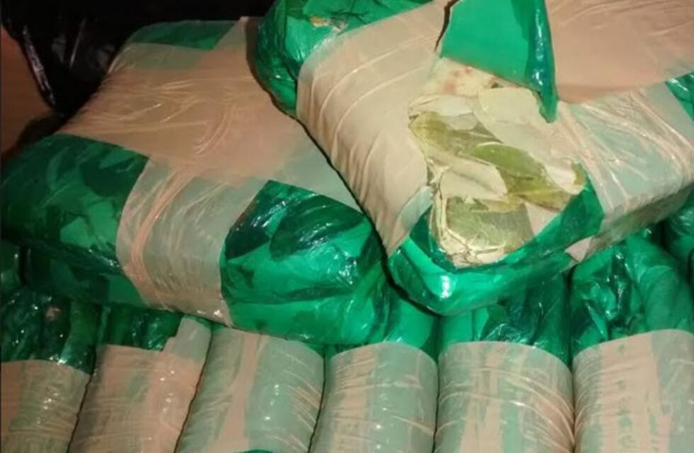 Gendarmería detuvo a dos dealers y secuestró 10 kilos de hojas de coca