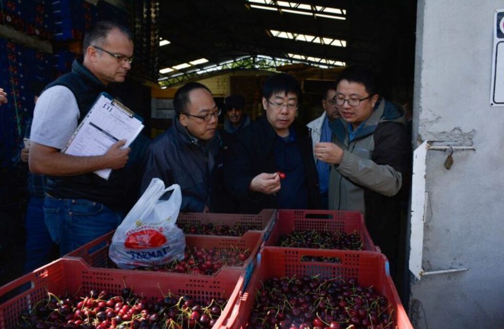 Los Antiguos: destacan las posibilidades de negocios que se abren con China