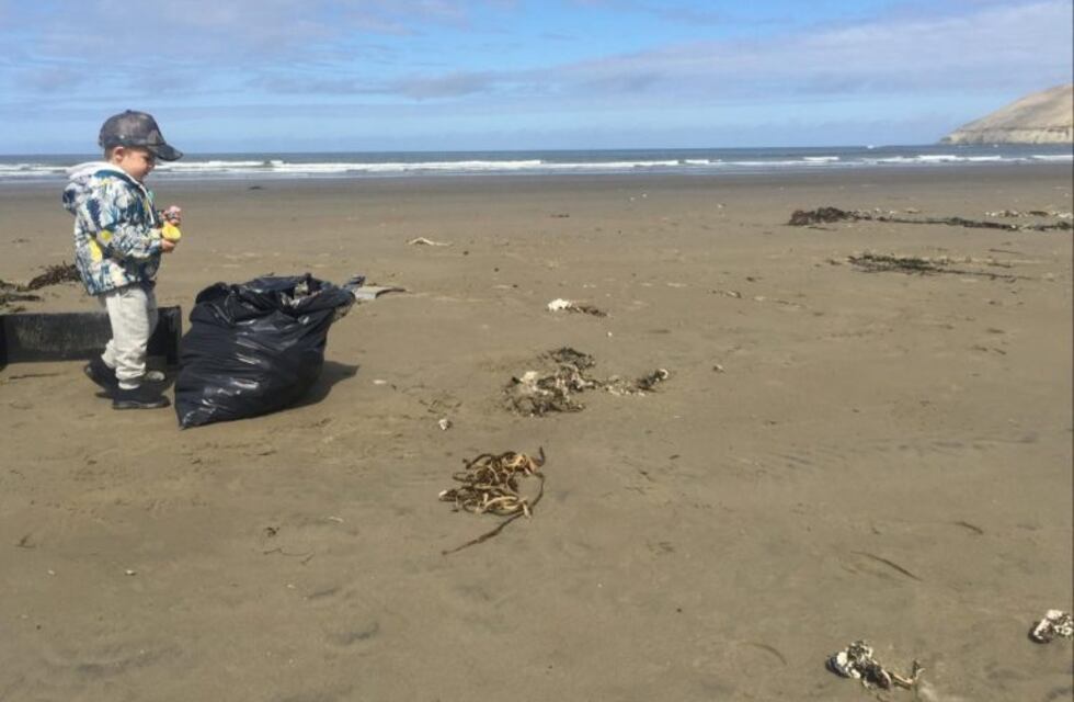 La limpieza de playas sigue sumando participación de la comunidad