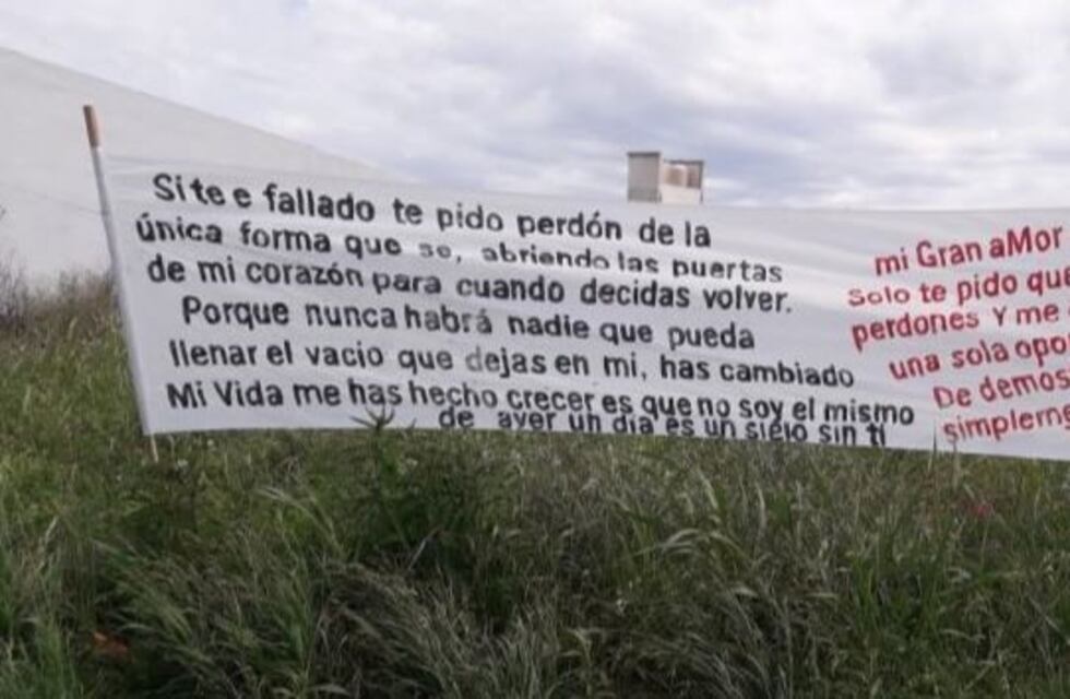 Un enamorado sorprendió a Paraná por compartir su arrepentimiento a través de pancartas