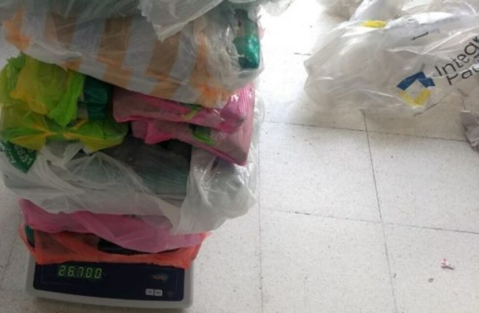 Incautan 27 kilos de hojas de coca
