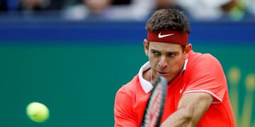 El saludo de fin de año de Del Potro llegó con malas noticias (Foto: Aly Song/REUTERS)