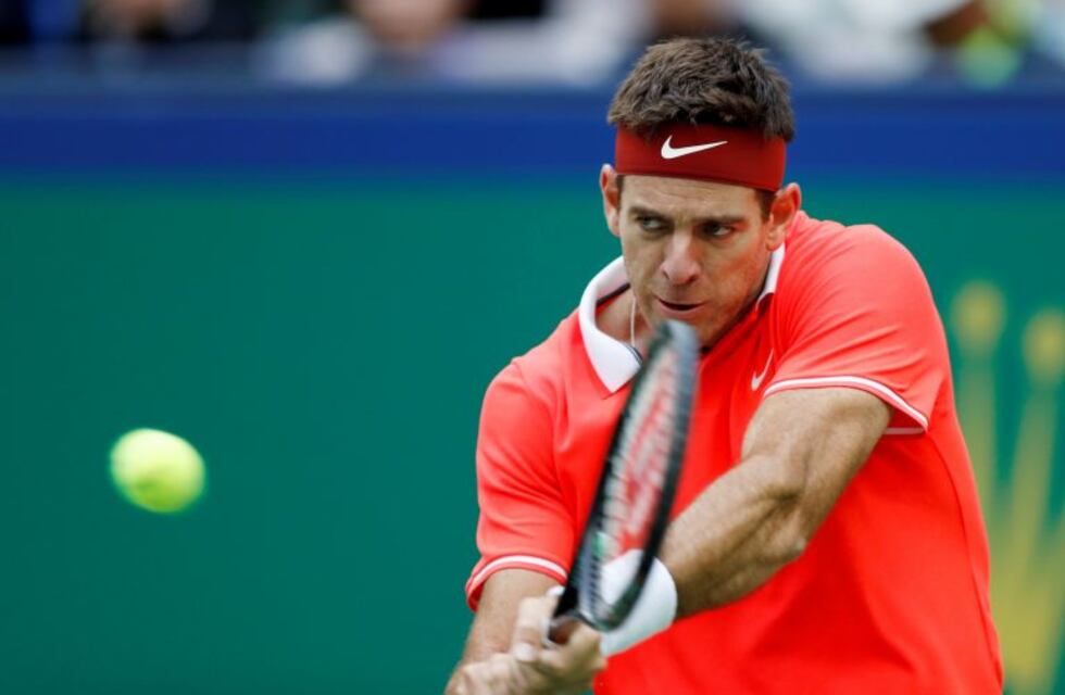 El saludo de fin de año de Del Potro llegó con malas noticias