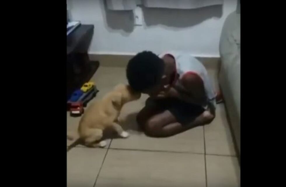 La emoción que se hizo viral: le regalaron un perro y rompió en llanto