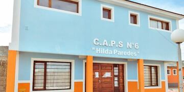 Neurodesarrollo infantil (web)