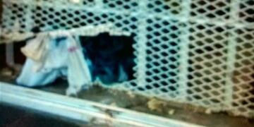 Los pru00f3fugos rompieron dos rejas y escaparon por un garage lindero.