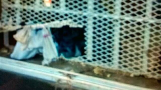 Los fugados de la Comisaru00eda 5u00b0 rompieron dos rejas y escaparon por un terreno lindero a la seccional.
