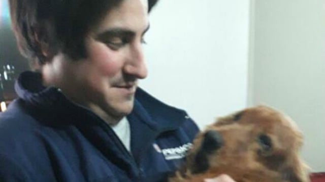 Pancho y su perro Cona, abrazados luego de cinco au00f1os.