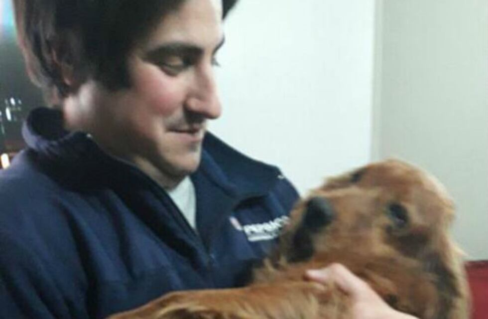 ¡Emocionante! Había perdido a su perro y se reencontraron luego de 5 años