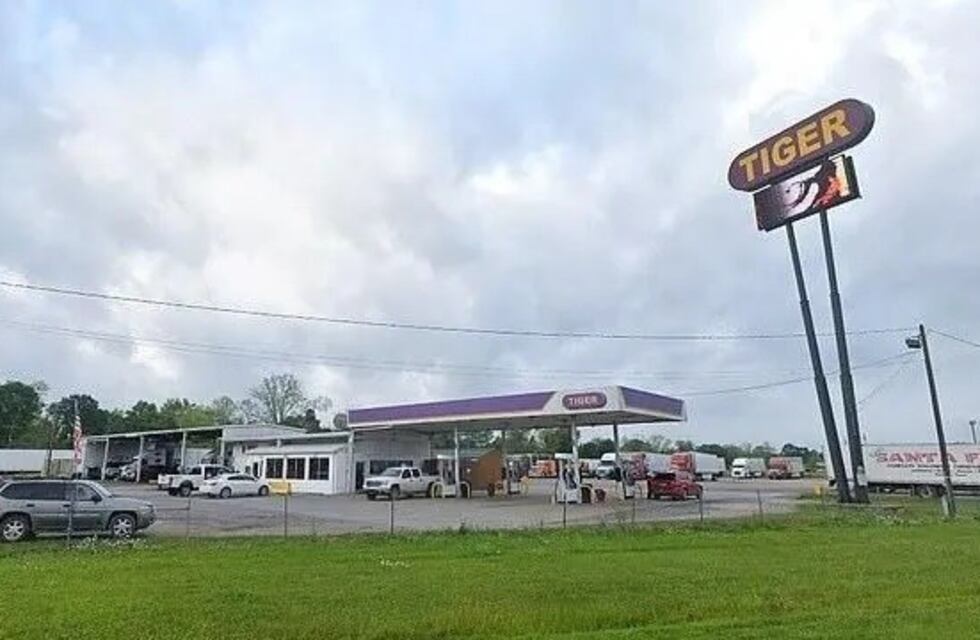 Estados Unidos: una mujer tuvo que morderle los testículos a un camello para salvar su vida y la de su perro