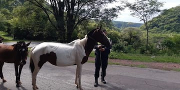Foto: Policía de Tucumán\u002E
