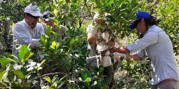 Las capacitaciones forman parte de una tarea conjunta entre el Inta y el Inym\u002E