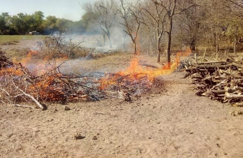 Cruz del Eje: lo detienen por quemar ramas