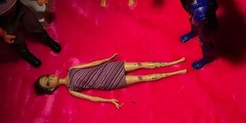 Impactante muestra en un colegio de Tigre