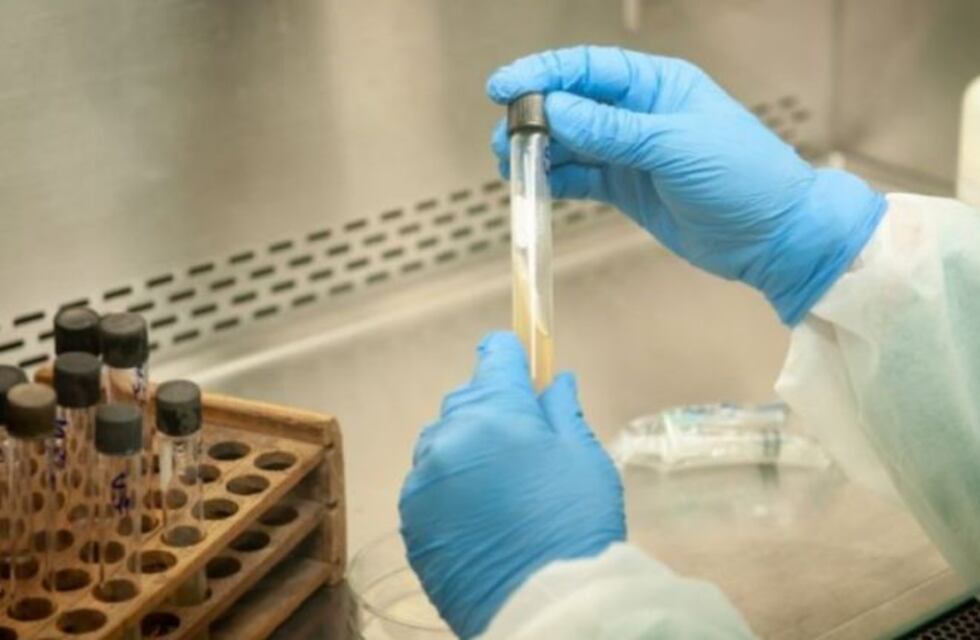 Se confirmó un nuevo caso de coronavirus en Río Negro