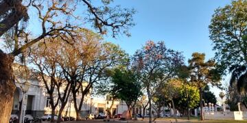 Jornada de viento y un poco de calor