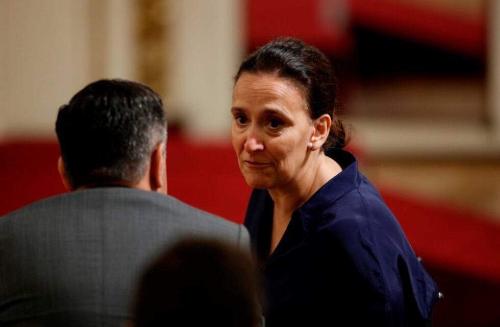 Michetti rechazó acusaciones de Pichetto: "No hay dilación posible" en el debate del aborto