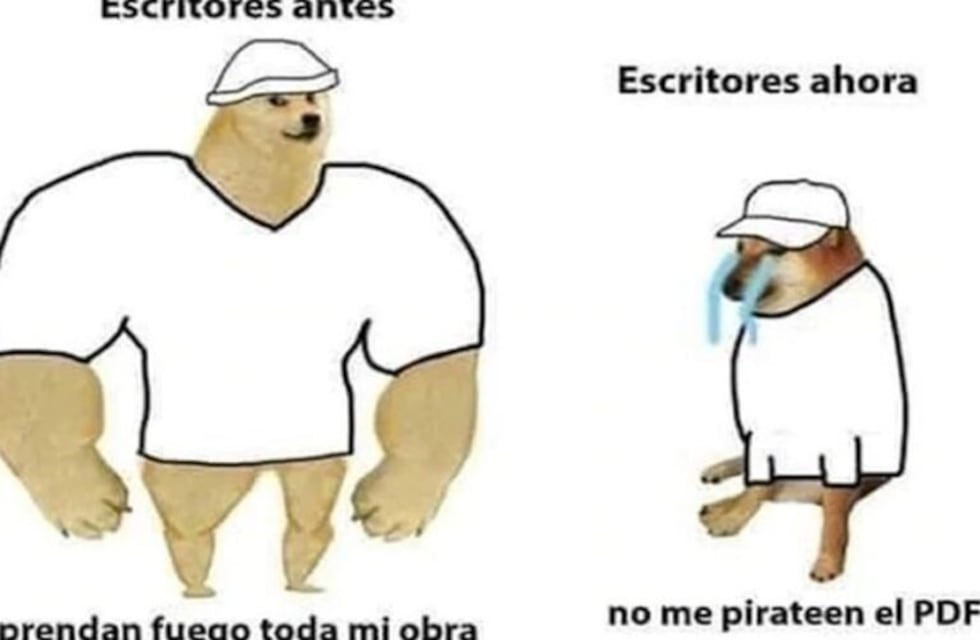 "El meme del perrito", la sensación viral del momento