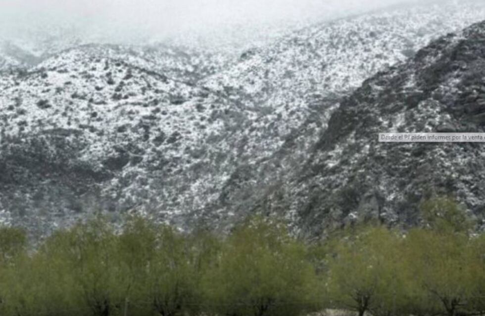 Desde el PJ piden informes por la venta de tierras de Tunuyán