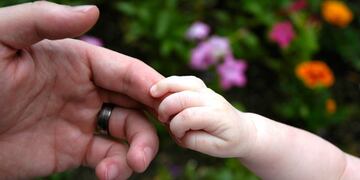 La convocatoria permitirá agilizar el proceso en la búsqueda de nuevos hogares\u002E (Archivo)