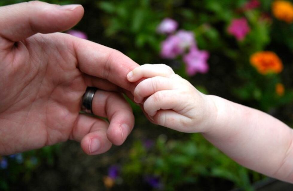 Realizan modificaciones para agilizar el proceso de adopción en la Ciudad