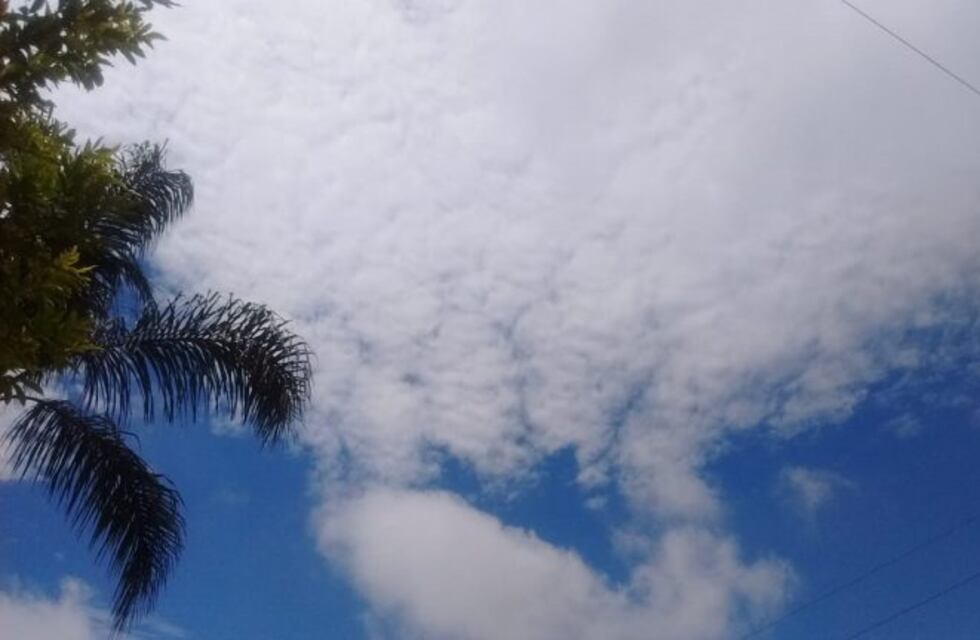 ¡Vamos que es viernes!: así estará el tiempo en Marcos Juárez