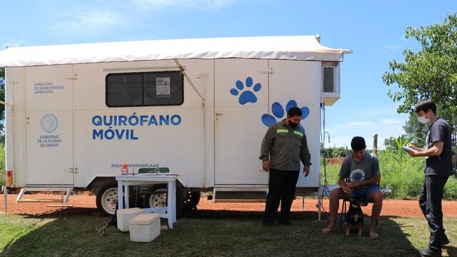 Oberá: el quirófano móvil para mascotas continúa trabajando en el barrio Sargento Cabral.