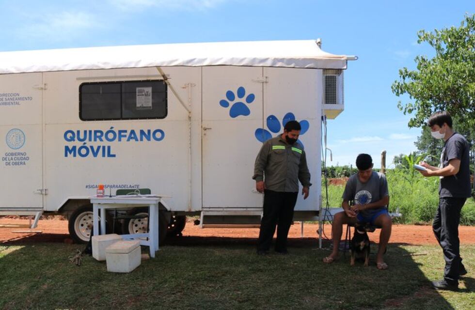 Oberá: el quirófano móvil para mascotas continúa trabajando en el barrio Sargento Cabral