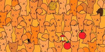 El nuevo reto viral, que despista a más de uno\u002E (Web)