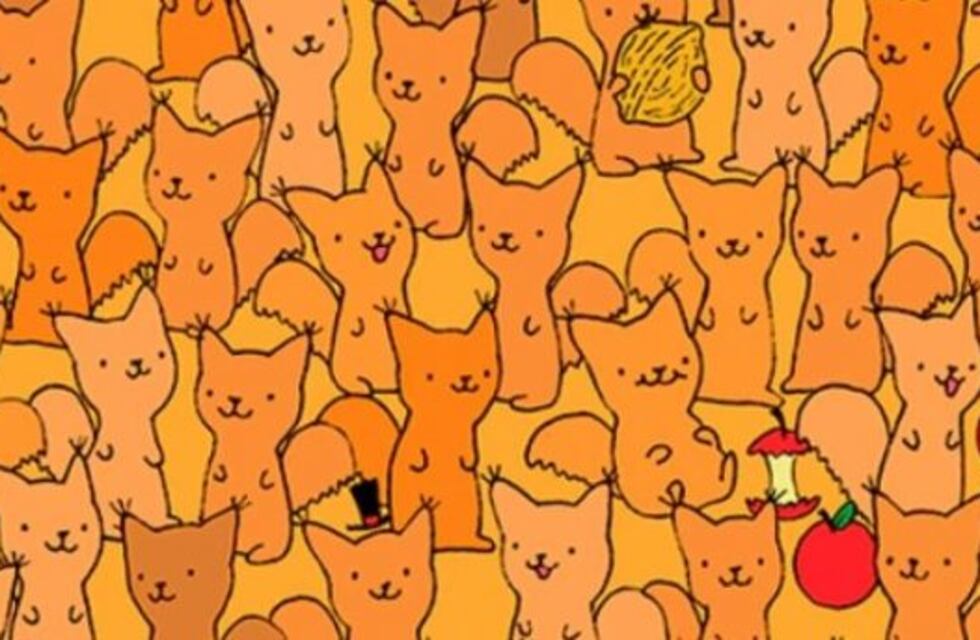Un nuevo desafío viral: ¿dónde está el roedor?