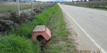 El lugar donde fue hallado el Pitbull abandonado\u002E