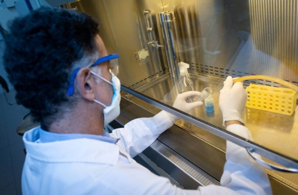 Planean tratar el Covid-19 con vitamina D en Mendoza