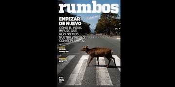 Esta semana en Rumbos #872: Empezar de nuevo