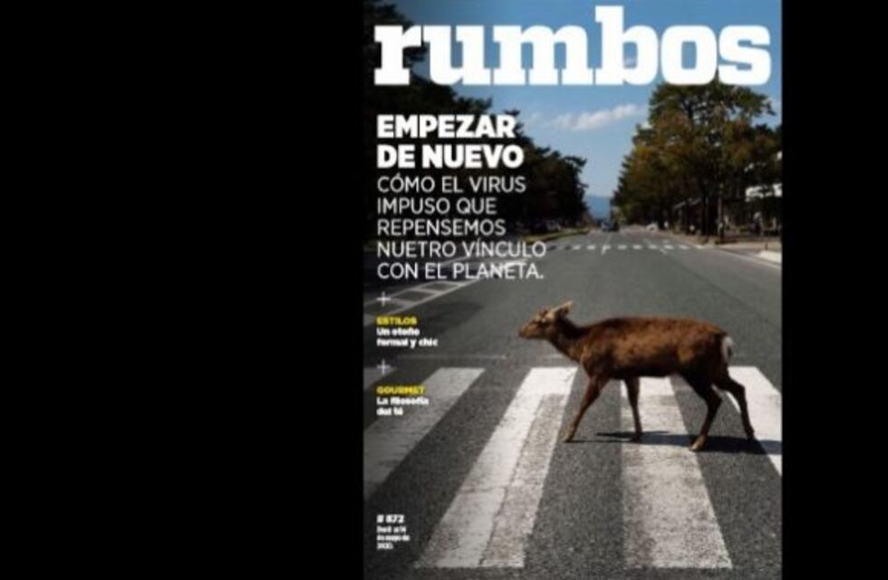 Esta semana en Rumbos #872: Empezar de nuevo