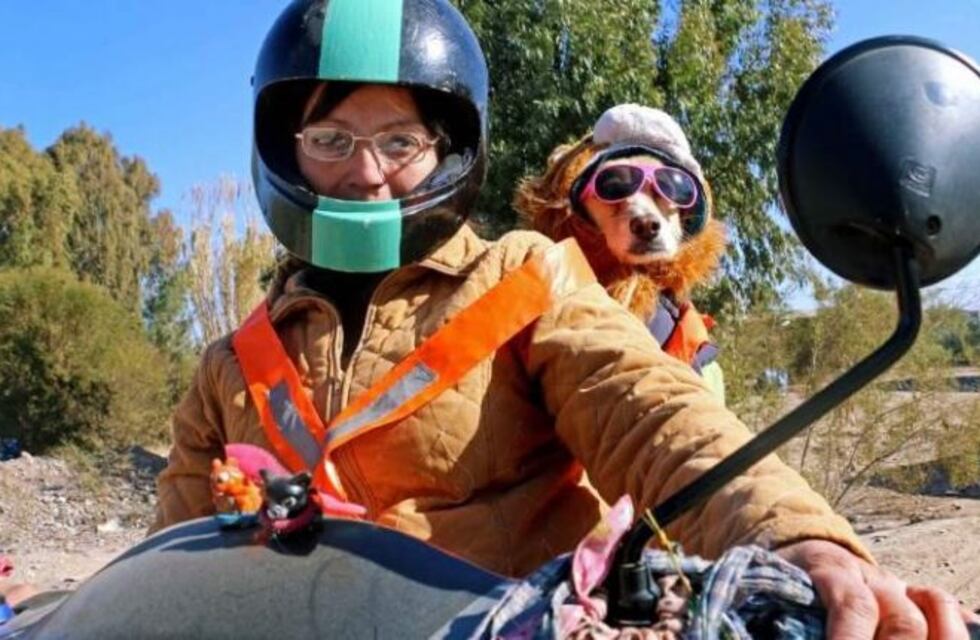 Valeria, la sanjuanina que es el “hada madrina” de los perros